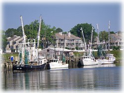 Shrimp boats on the river